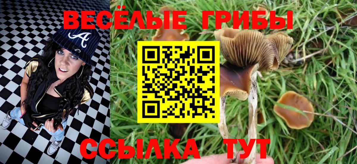 Галлюциногенные грибы Psilocybine cubensis  Вход с VPN  Воткинск 