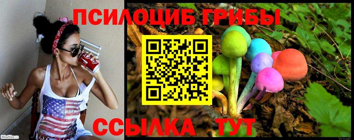 Псилоцибиновые грибы GOLDEN TEACHER Воткинск